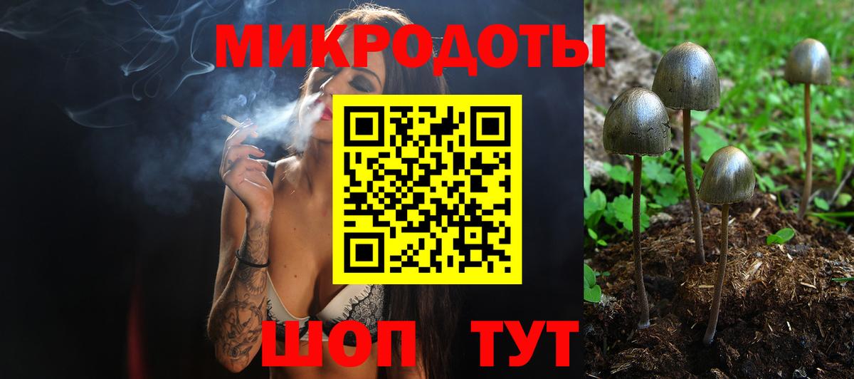 Псилоцибиновые грибы Psilocybine cubensis  Вход с VPN  Воронеж 